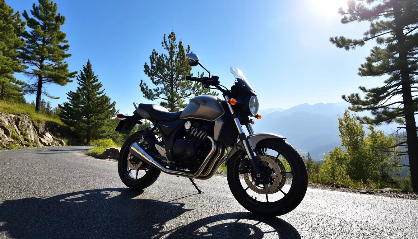 Consórcio Hornet 500