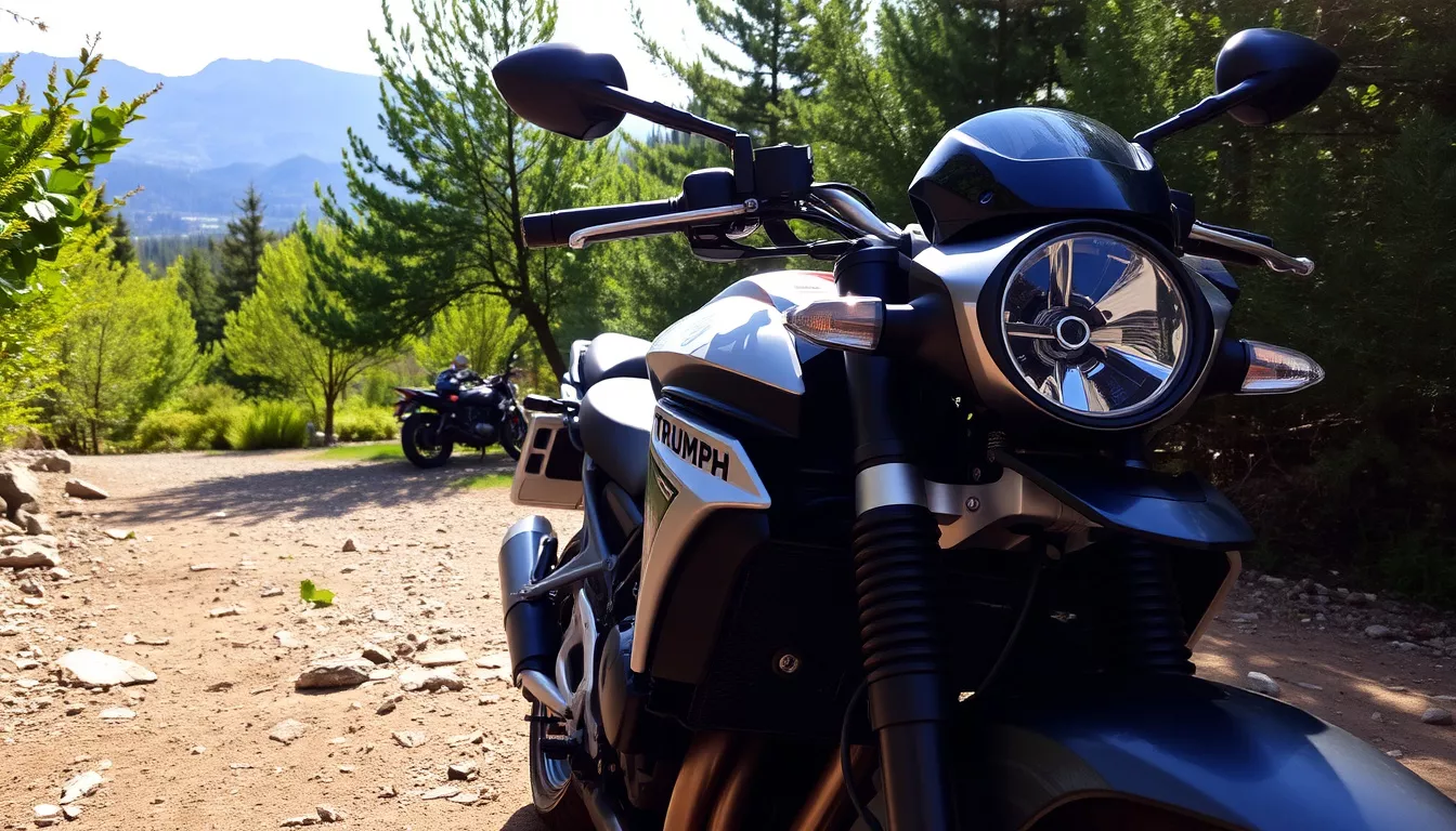 Consórcio Triumph Tiger 800: Como Funciona